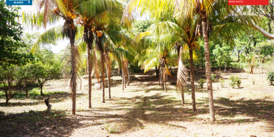 Se vende lote de terreno de 11,000 v2 en Cedro Galán, Carretera Vieja a León, en Managua